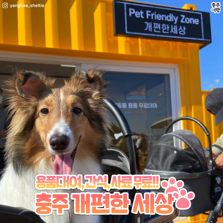  반려견 여행｜반려견 동반 여행, 충주로 오세요!! 반려견 동반숙소, 무료사료, 무료간식, 무료대여!!