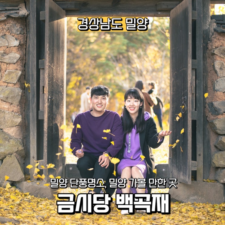  [경상남도] 전국 단풍 명소 중 경상남도 밀양 단풍명소, 금시당 백곡재
