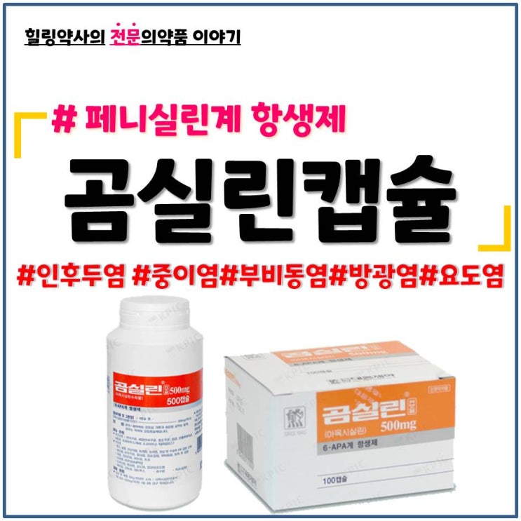  [곰실린캡슐]페니실린계항생제,종기,편도염,인후두염,중이염,부비동염 복용법,금기 및 주의사항,부작용(이상반응)