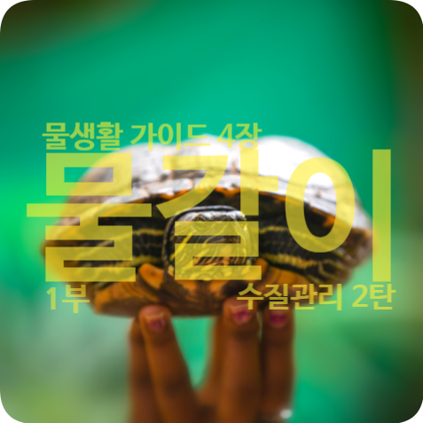  4장. 수질관리 2탄 - 물갈이 1부