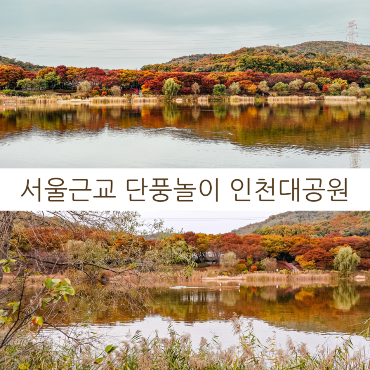  서울근교 단풍놀이 갈만한 곳 인천대공원