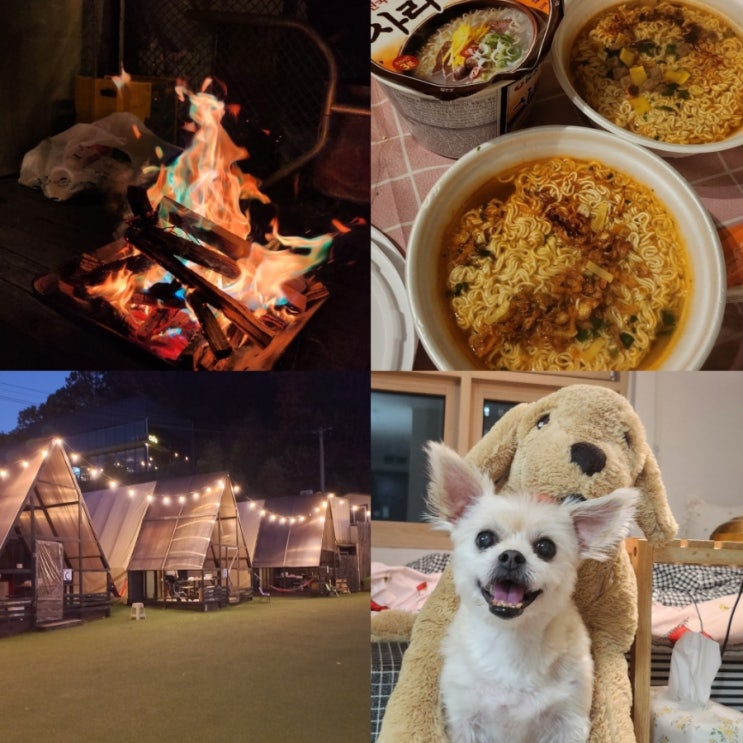  용인 애견글램핑장 《힐포인트》에서 오로라불멍 즐기고 온 후기!