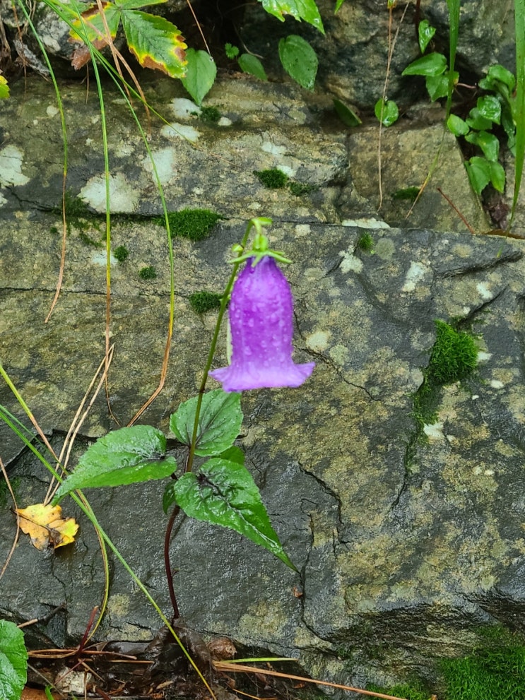 푸른 가정의학과에서 알레르기  검사 결과가 나오다.