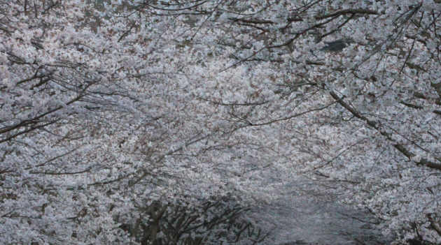 수업 연구 중심의 동료장학 소비자 특성이 패밀리 레스토랑 선택에 미치는 영향 국토공간의 구조조정이 왜 필요한가공유합니다우선 보여드릴 것은 3쪽의 HWP파일(HWP) 자료 수업 연구 수업 연구 중심의 동료장학 소비자 특성이 패밀리 레스토랑 선택에 미치는 영향 국토공간의 구조조정이 왜 필요한가공유합니다우선 보여드릴 것은 3쪽의 HWP파일(HWP) 자료 수업 연구