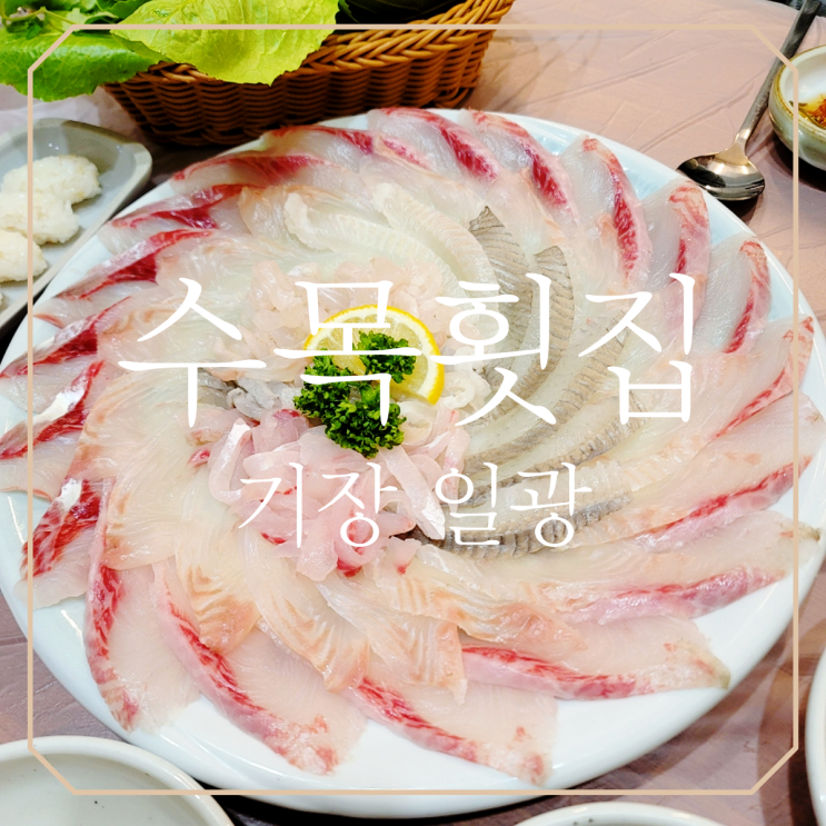  기장 맛집 수목횟집 제철모듬 내돈내산 솔직후기[재방문]
