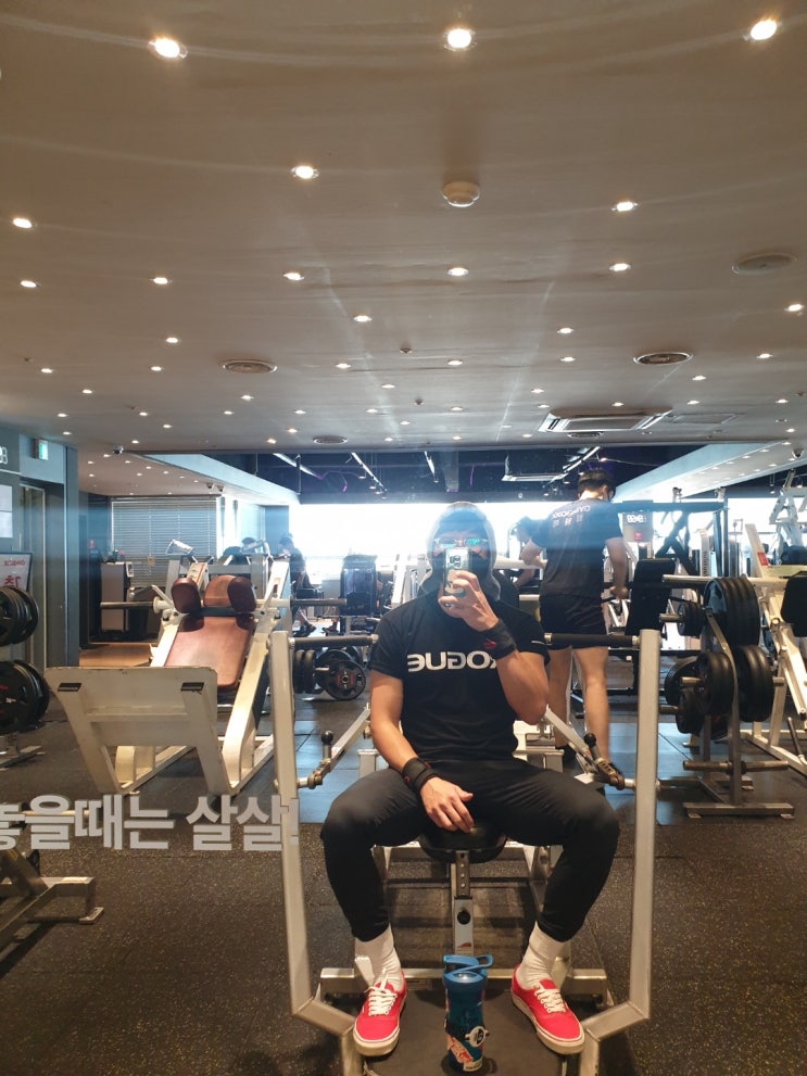  20221026 등 오운완