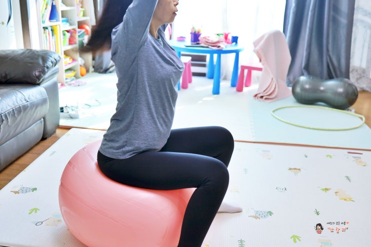  마이웨잇 짐볼 사이즈 55cm 65cm 나에게 맞게 선택하기