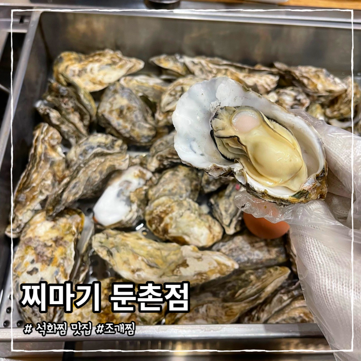 강동구 석화찜 맛집 찌마기,ft 생새우회