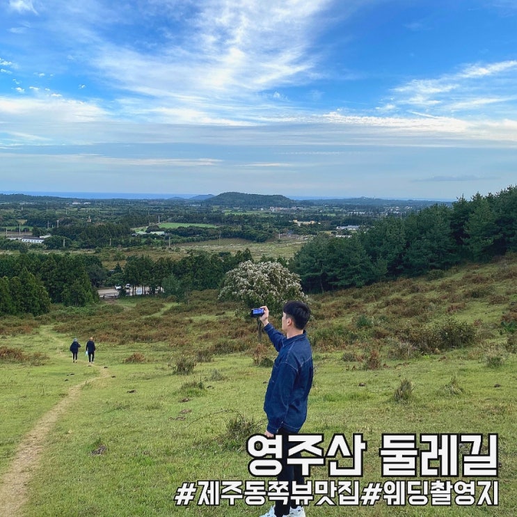  제주 동쪽 여행지 뷰 맛집으로 유명한 영주산 둘레길 한바퀴!