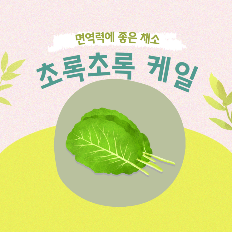  면역력에 좋은 채소 케일! 베타카로틴이 풍부해 활성산소를 억제하는 음식입니다:)