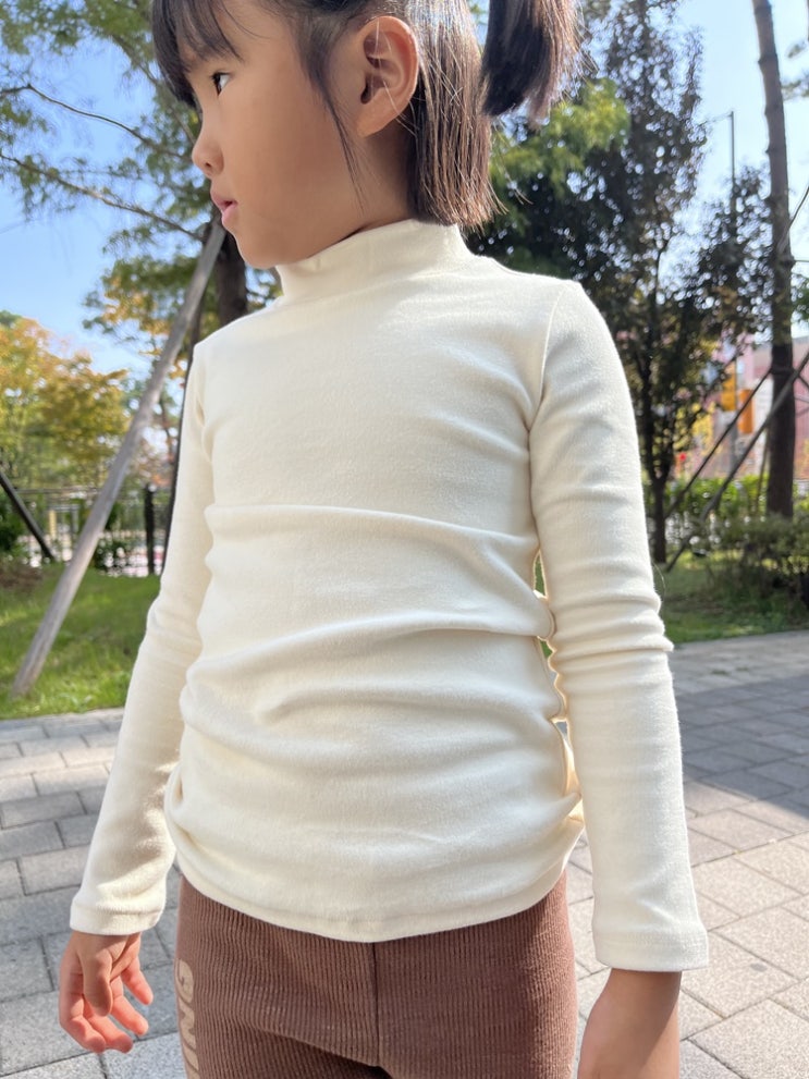  윈터 반폴라 티셔츠 활용도 높은 레이어드 상의 추천