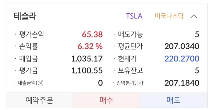  테슬라, 소소한 투자