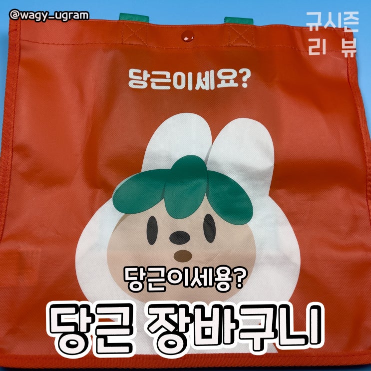  #당근이세요? 당근 마켓 당근 장바구니 리뷰