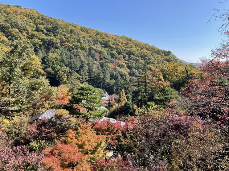  서울근교 단풍명소 곤지암 화담숲 예약방법, 모노레일 예약방법