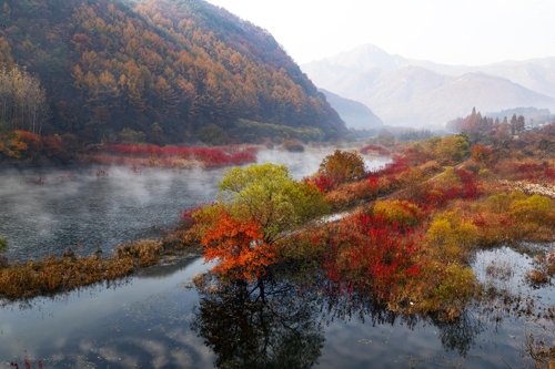  법률상담-증여재산의 상속분 참작과 상속분증여 후 상속포기 효력