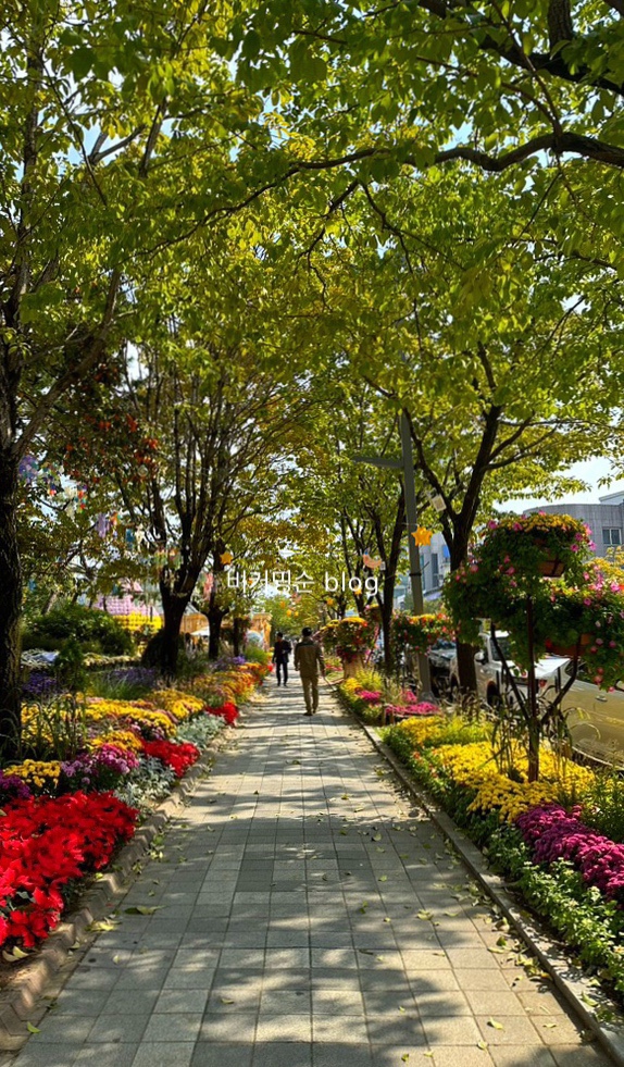  대전 유성 국화 축제 | 족욕 체험장