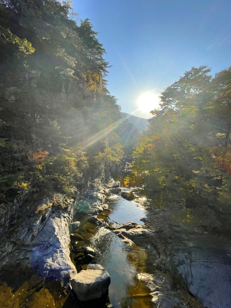  10월 4주차 주간일기 : 엄마와 함께한 강원도 가을 여행 (민둥산, 무릉계곡)