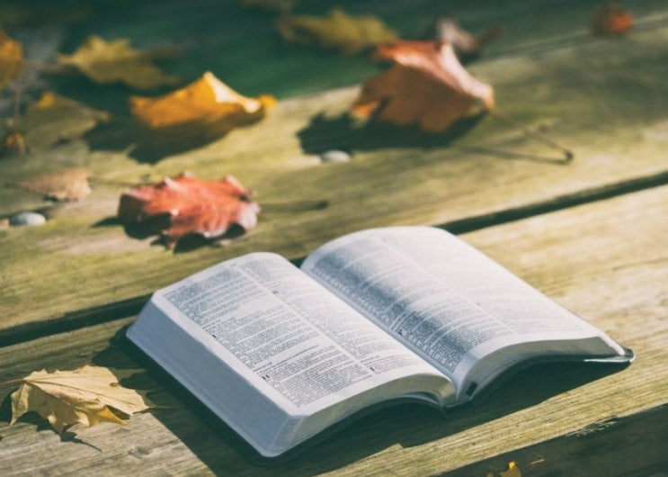  [저작권료 정산 소식] 10월분 저작권료 정산 특이사항!