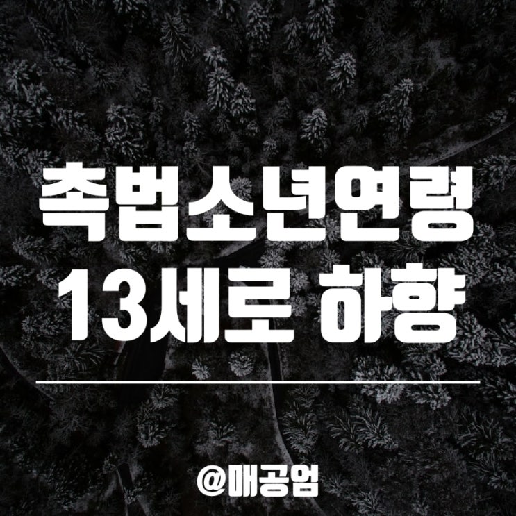 촉법소년 연령 13세로 하향 소년법, 형법 개정 추진