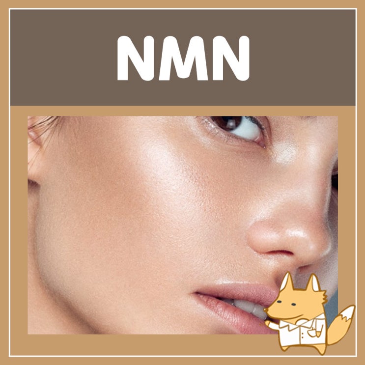  레스베라트롤 효능 부작용 NMN 효능