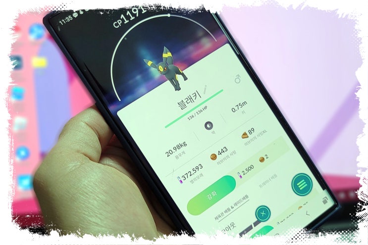  포켓몬고 블래키 3성 레이드 솔플 및 졸업스킬 진화 이름