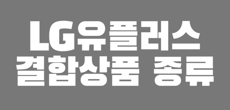  LG유플러스 인터넷 결합상품