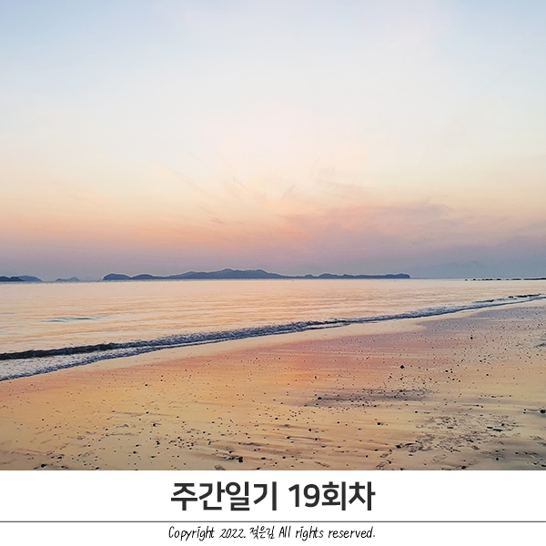 주간일기 19회차 : 오늘은 초간단 주간일기 19회차 : 오늘은 초간단