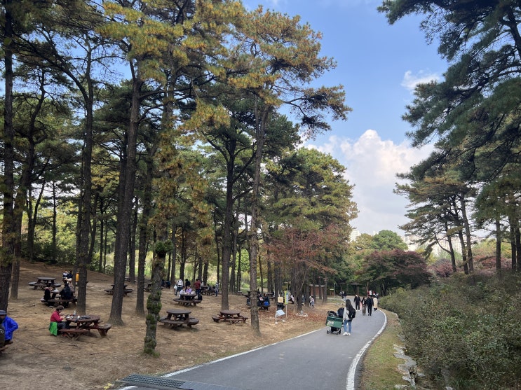  가을 단풍 피크닉 | 오산 물향기수목원