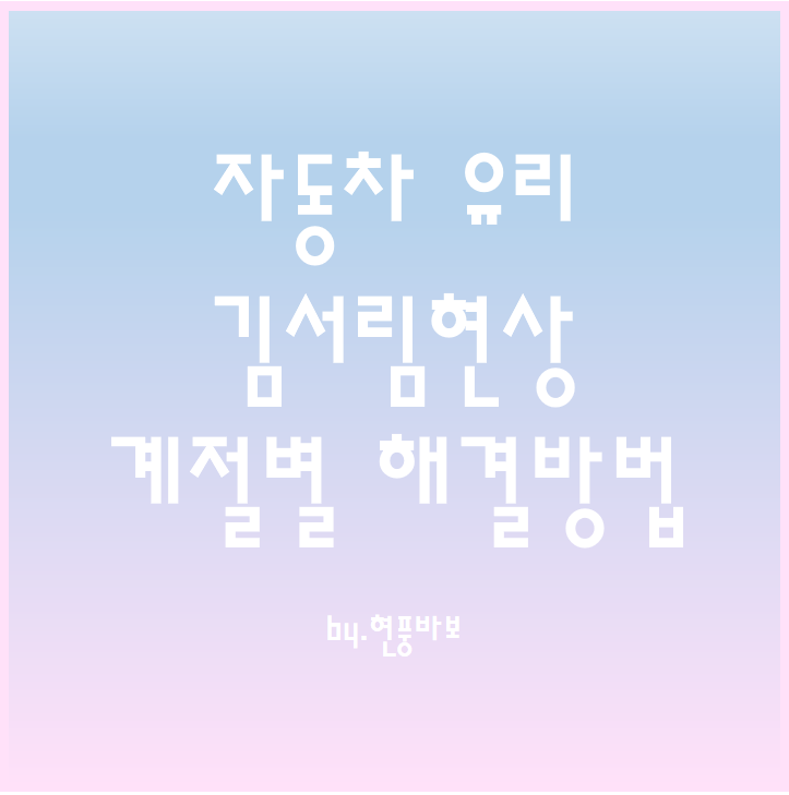 자동차 유리 김서림 계절별 해결 방법 꿀 TIP
