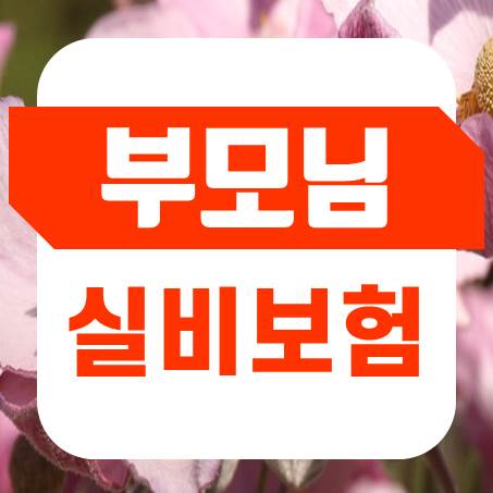  단독 및 유병자 부모님실비보험 모아서 비교 후 결정