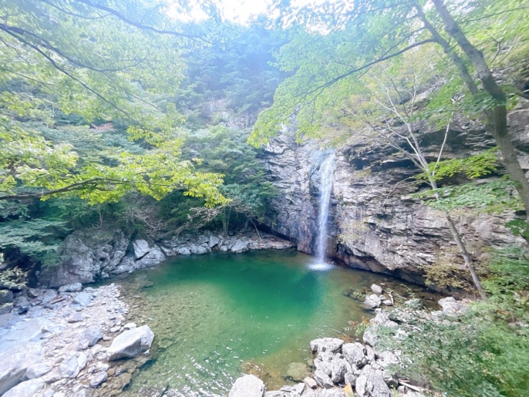  [울산] 울산여행 3박4일 - 2탄 진하 방가루중식당, 서핑 실패, 내가본 폭포중에 원픽이었던 ‘파래소폭포’