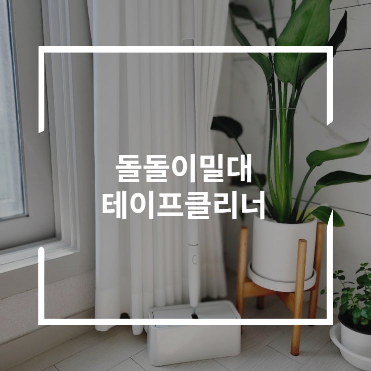  돌돌이밀대 핌 사선커팅 테이프클리너 내방을 청소하자