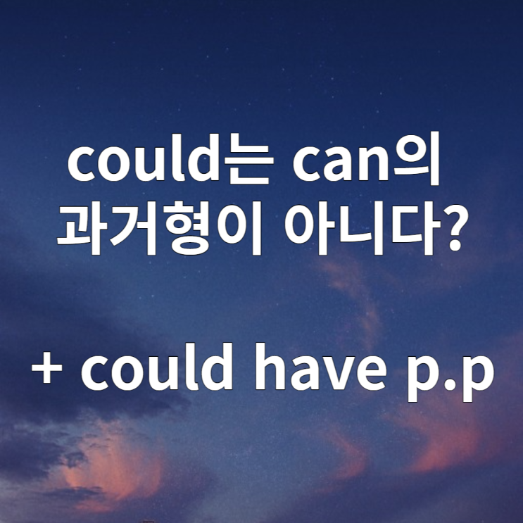 조동사 could는 can의 과거형이 아니다? (+ could have pp)