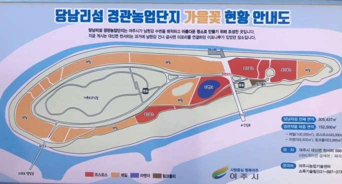  (22.10.25 산책일기)대형견 래브라도리트리버 동반여행 산책 여주 당남리섬 핑크뮬리 갈대밭
