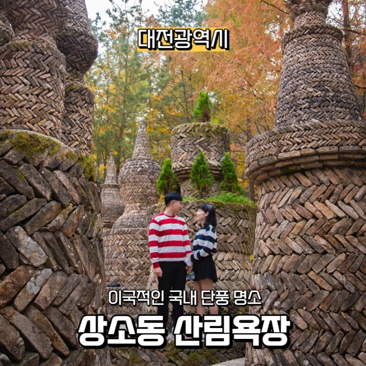  [대전광역시] 이국적인 국내 단풍 명소, 상소동 산림욕장