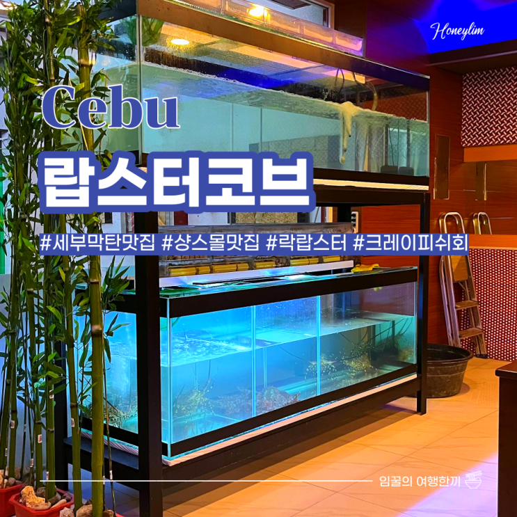  세부 막탄 맛집 샹스몰 맛집 추천! 랍스터, 활 크레이피쉬 회 : 랍스터코브