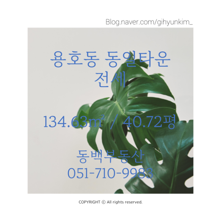 용호동 동일타운 134.63(구 40평) 전세