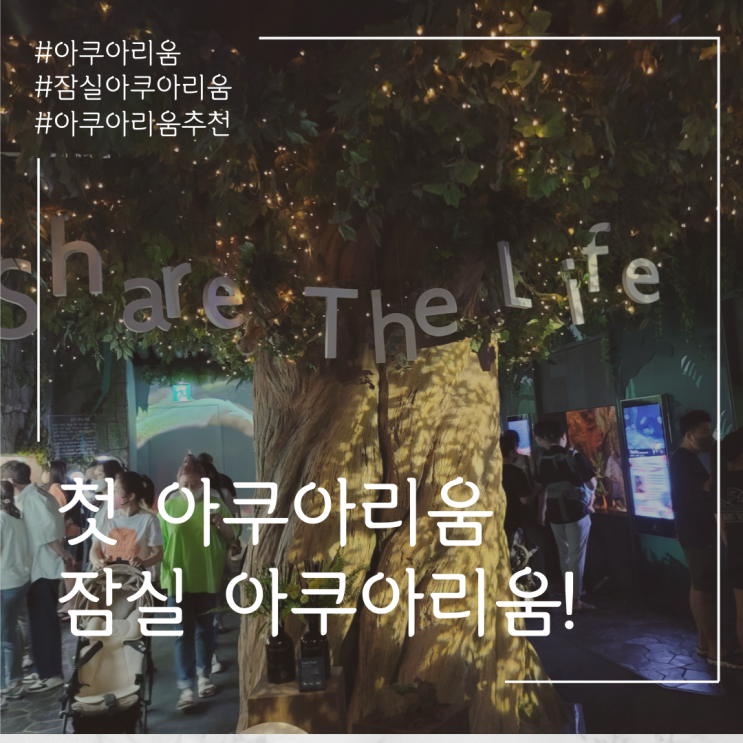  아쿠아리움에 가다~! 롯데월드 아쿠아리움~!
