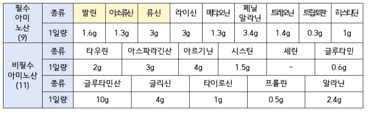  [필수영양소]탄단지 A to Z(With 미네랄, 비타민) 기능