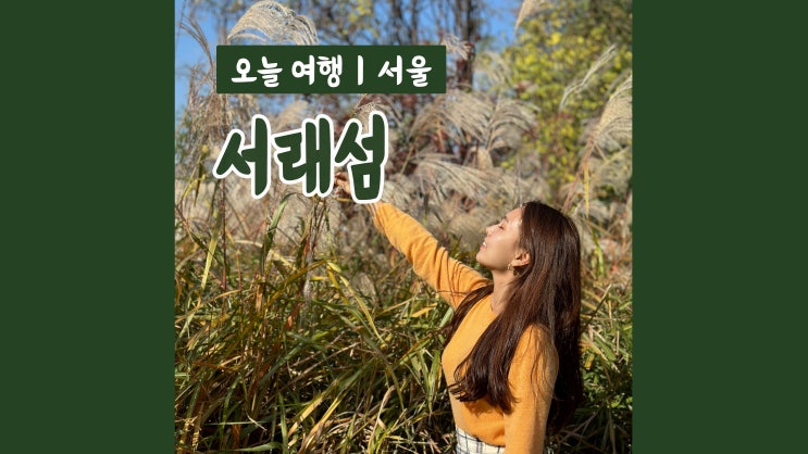 서울 가을 꽃구경 '반포한강공원 서래섬'
