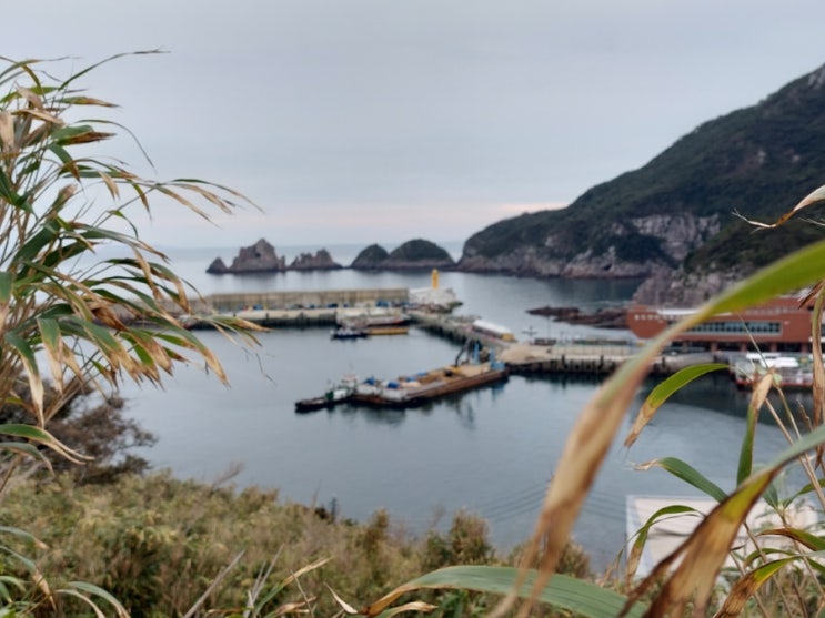 섬여행 홍도 흑산도 2박3일 여행 1일차 홍도 여행 섬여행 홍도 흑산도 2박3일 여행 1일차 홍도 여행