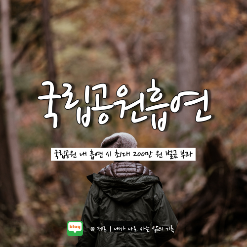  국립공원 흡연 적발 시 최대 200만 원 과태료 부과