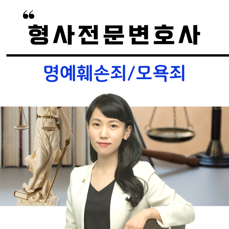 대전형사변호사의 처벌대응