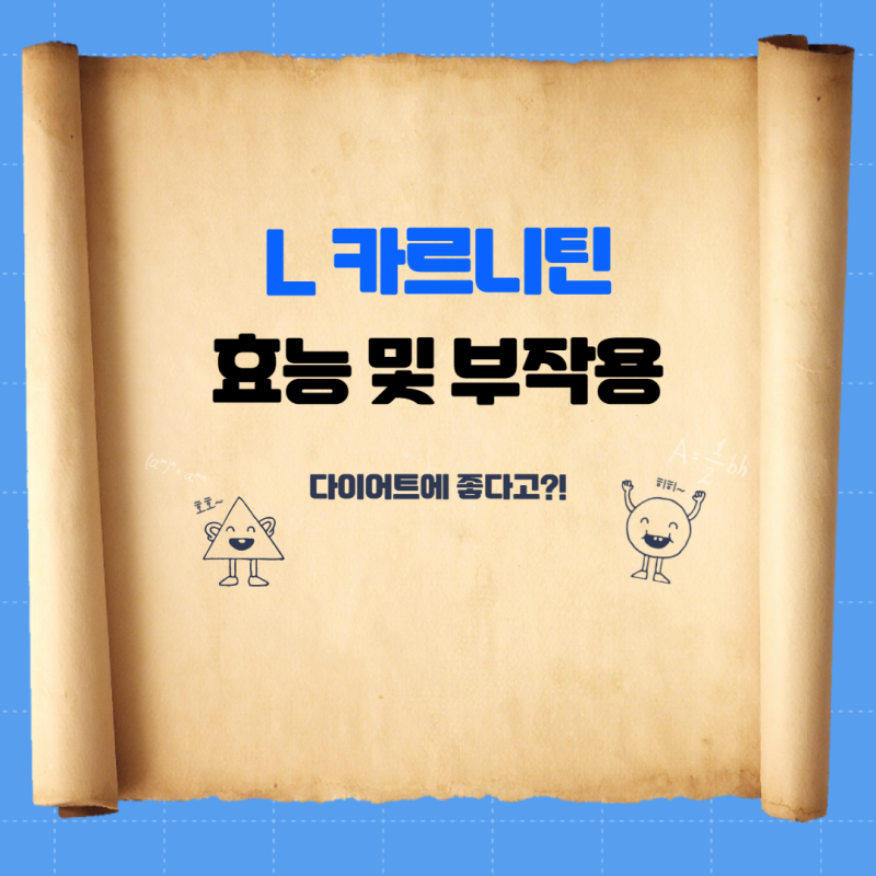 L카르니틴 엘카르니틴 효능 부작용 섭취 방법 4