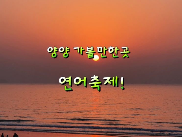 양양 가볼만한곳  연어축제!