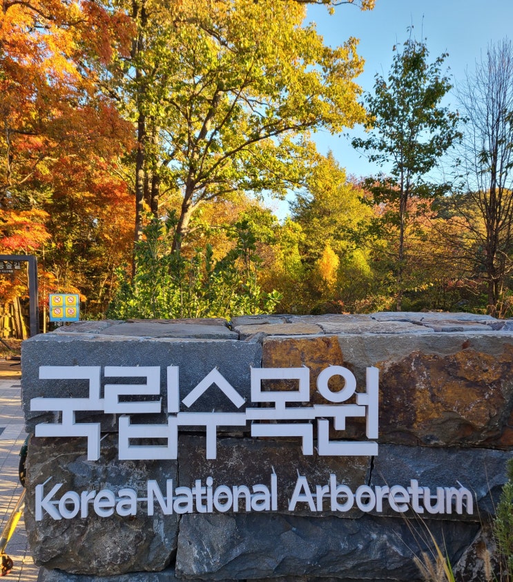  [포천 여행] 국립수목원(광릉수목원), 광릉에서 단풍 보고 가을 산책하기 with 입장료, 주차정보/방문일 22.10.23