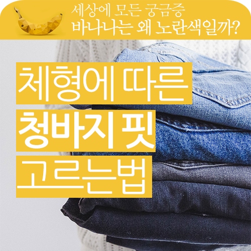 체형에 맞는 청바지 고르는 방법이 있을까요? 청바지 핏에 따른 종류에 대해 알아보겠습니다.