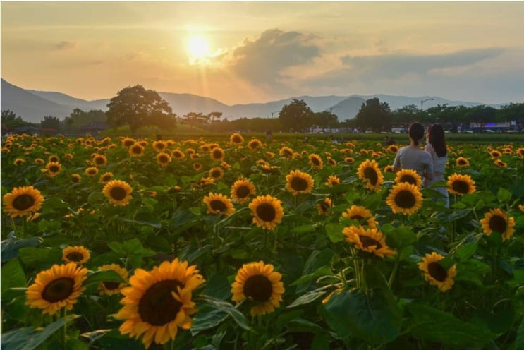 내가 가진 것