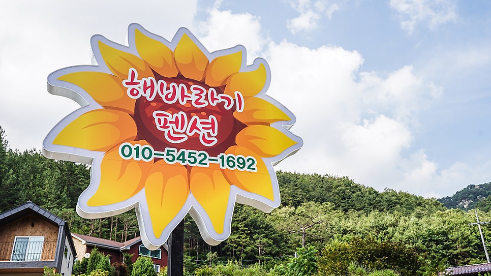 해바라기펜션 사진 2