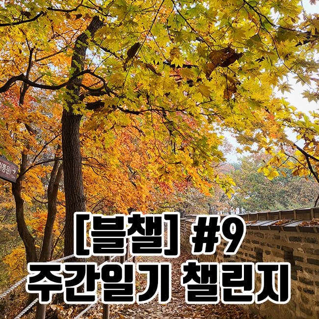 [블챌] 주간일기 챌린지 #9 | 가을 단풍 명소 남한산성 | 서울 근교가 볼만한 곳